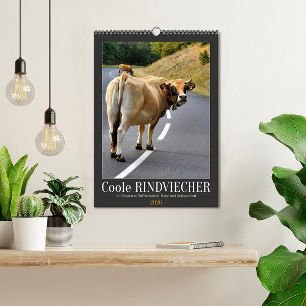 Produktbild: Coole Rindviecher (Wandkalender 2026 DIN A3 hoch), CALVENDO Monatskalender
