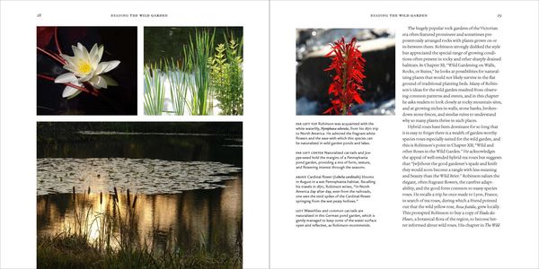 Produktbild: The Wild Garden