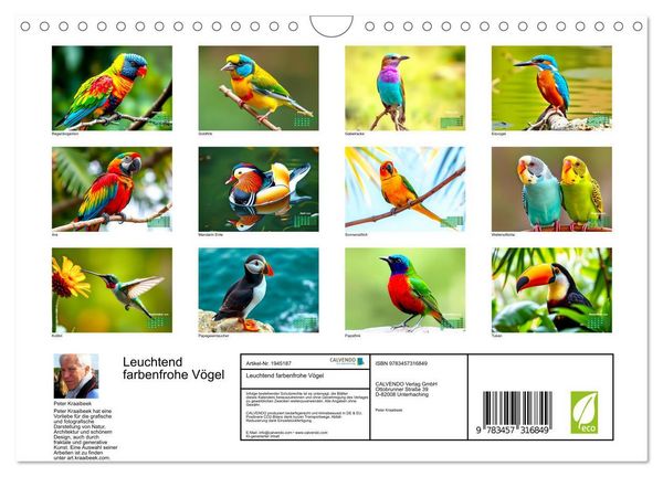 Produktbild: Leuchtend farbenfrohe V&ouml;gel (Wandkalender 2026 DIN A4 quer), CALVENDO Monatskalender