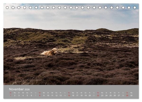 Produktbild: Texel - Meine Insel (Tischkalender 2026 DIN A5 quer), CALVENDO Monatskalender