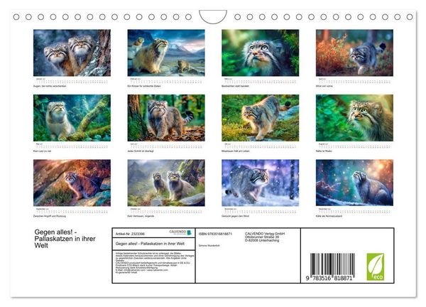 Produktbild: Gegen alles! - Pallaskatzen in ihrer Welt (Wandkalender 2027 DIN A4 quer), CALVENDO Monatskalender