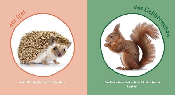 Produktbild: Baby Pixi (unkaputtbar) 183: Mein Baby-Pixi-Buggybuch: Meine ersten Tiere