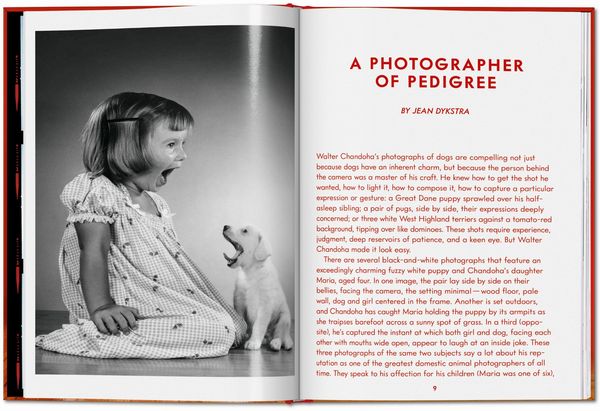 Produktbild: Walter Chandoha. Dogs. Photographs 1941&ndash;1991