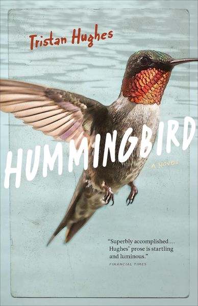 Produktbild: Hummingbird: A Novel