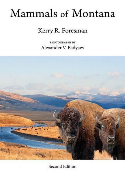 Produktbild: Mammals Of Montana 2/e