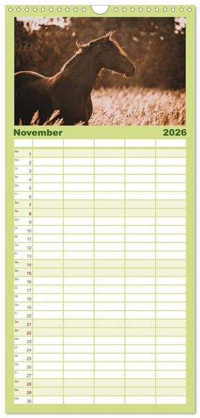 Produktbild: Familienplaner 2026 - Die Faszinierende Welt der Pferde mit 5 Spalten (Wandkalender, 21 x 45 cm) CALVENDO