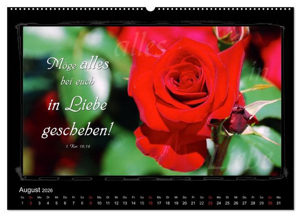 Produktbild: Monat f&uuml;r Monat ein Bibelvers (Wandkalender 2026 DIN A2 quer), CALVENDO Monatskalender