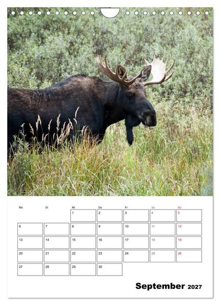 Produktbild: Yellowstone und Grand Tetons Nationalparks (Wandkalender 2027 DIN A4 hoch), CALVENDO Monatskalender
