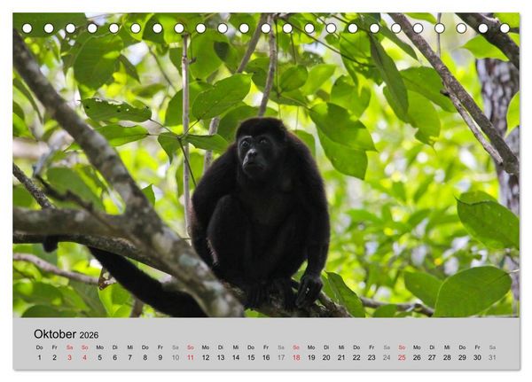 Produktbild: Costa Rica (Tischkalender 2026 DIN A5 quer), CALVENDO Monatskalender