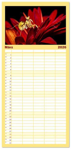 Produktbild: Familienplaner 2026 - Im Bann der Mantis mit 5 Spalten (Wandkalender, 21 x 45 cm) CALVENDO