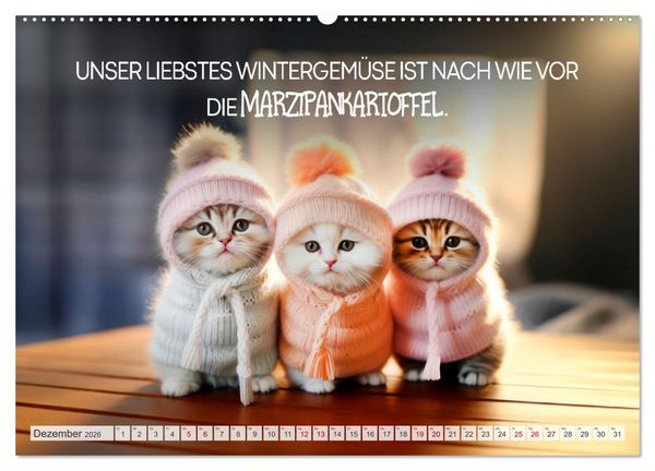 Produktbild: KATZEN-IRONIE Lach mal wieder (hochwertiger Premium Wandkalender 2026 DIN A2 quer), Kunstdruck in Hochglanz