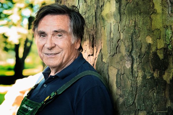 Grüner wird's nicht, sagte der Gärtner und flog davon