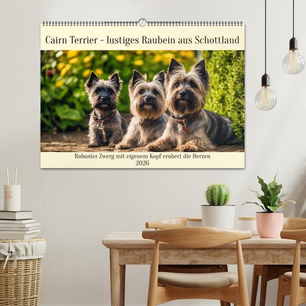 Produktbild: Cairn Terrier - lustiges Raubein aus Schottland (Wandkalender 2026 DIN A2 quer), CALVENDO Monatskalender