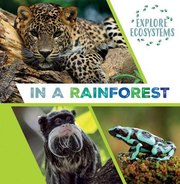 Produktbild: In a Rainforest