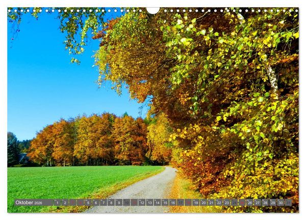 Produktbild: Wege finden immer ein Ziel (Wandkalender 2026 DIN A3 quer), CALVENDO Monatskalender