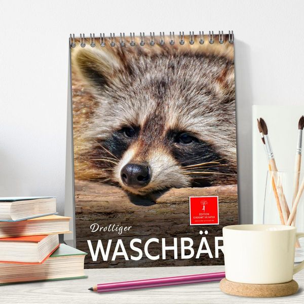 Produktbild: Drolliger Waschb&auml;r (Tischkalender 2026 DIN A5 hoch), CALVENDO Monatskalender