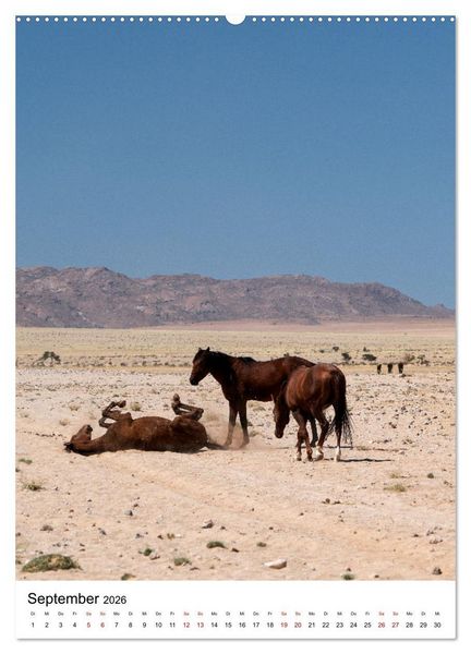 Produktbild: Naturparadies Namibia (hochwertiger Premium Wandkalender 2026 DIN A2 hoch), Kunstdruck in Hochglanz