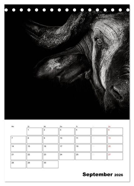 Produktbild: Charakterk&ouml;pfe aus der Welt der Tiere (Tischkalender 2026 DIN A5 hoch), CALVENDO Monatskalender