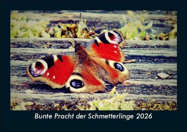 Produktbild: Bunte Pracht der Schmetterlinge 2026 Fotokalender DIN A5