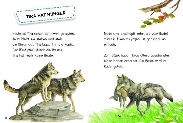 Produktbild: Tira, die junge Wölfin
