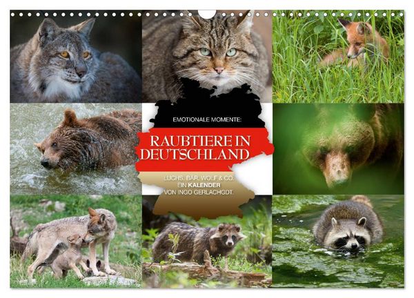 Emotionale Momente: Raubtiere in Deutschland (Wandkalender 2026 DIN A3 quer), CALVENDO Monatskalender