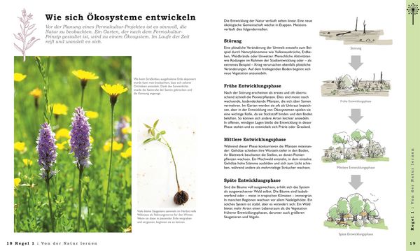 Produktbild: Permakultur f&uuml;r Einsteiger
