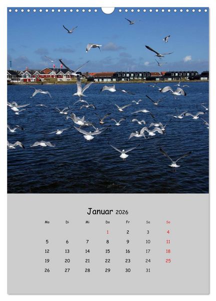 Produktbild: D&auml;nemarks Westk&uuml;ste 2026 (Wandkalender 2026 DIN A3 hoch), CALVENDO Monatskalender