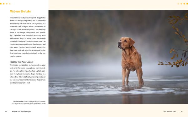 Produktbild: Dog Photography - Shooting with Bow "Wow" Effect