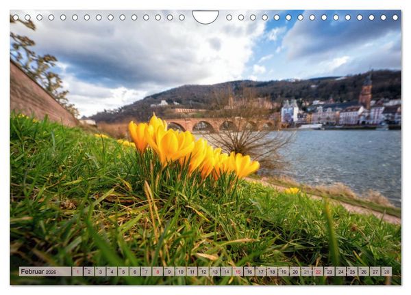 Produktbild: Heimweh nach Heidelberg - Die romantische Stadt am Neckar (Wandkalender 2026 DIN A4 quer), CALVENDO Monatskalender