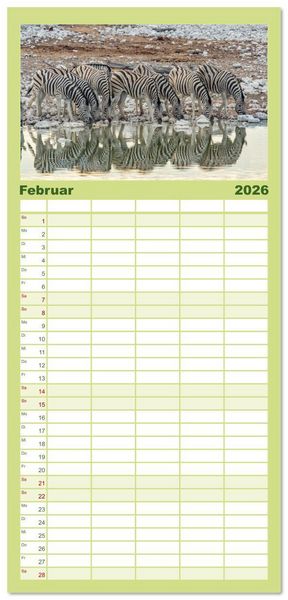 Produktbild: Familienplaner 2026 - Afrika - Namibia mit 5 Spalten (Wandkalender, 21 x 45 cm) CALVENDO