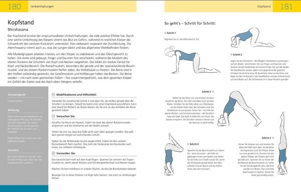 Produktbild: Die Anatomie des Yoga