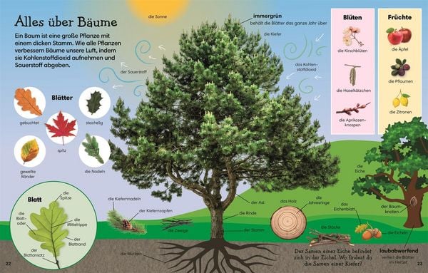 Produktbild: 1000 erste W&ouml;rter. Natur
