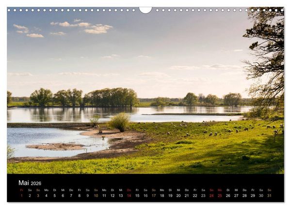 Produktbild: Brandenburg - Landschaften zwischen Elbe und Oder (Wandkalender 2026 DIN A3 quer), CALVENDO Monatskalender