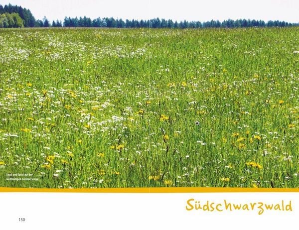 Produktbild: Wanderspa&szlig; mit Kindern &ndash; Schwarzwald
