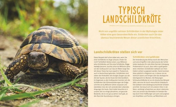 Produktbild: Landschildkr&ouml;ten