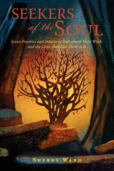Produktbild: Seekers of the Soul