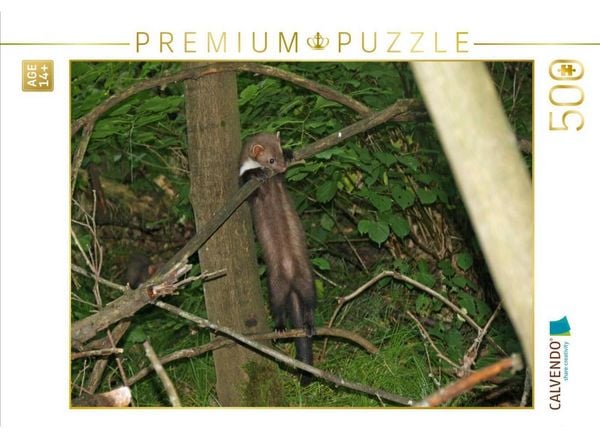 CALVENDO Puzzle Die Neugierde siegt | 500 Teile Lege-Größe 48 × 36 cm Foto-Puzzle für Erwachsene