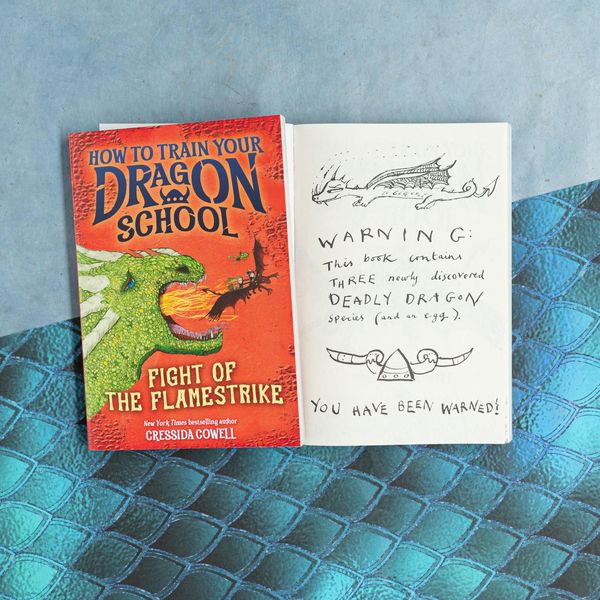 Produktbild: How to Train Your Dragon School: Fight of the Flamestrike