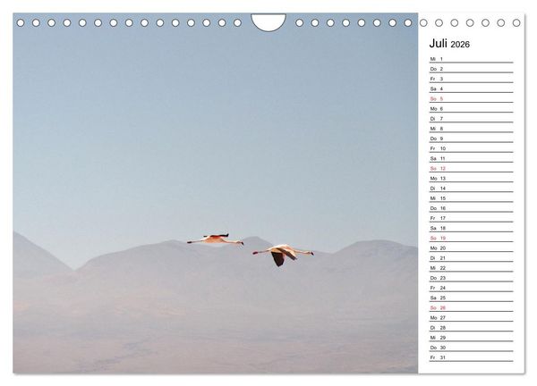 Produktbild: Mein Flamingo Planer (Wandkalender 2026 DIN A4 quer), CALVENDO Monatskalender