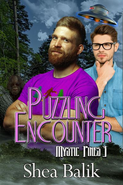 Produktbild: Puzzling Encounter (Mystic Pines, #3)