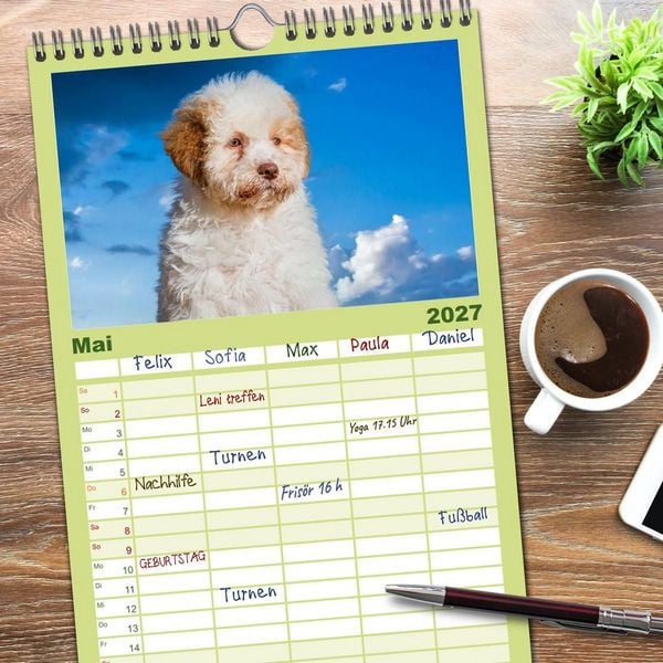 Produktbild: Familienplaner 2027 - Lagotto Romagnolo - die Tr&uuml;ffelsucher Italiens mit 5 Spalten (Wandkalender, 21 x 45 cm) CALVENDO