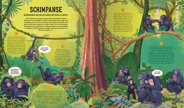 Produktbild: Die Sprache der Natur