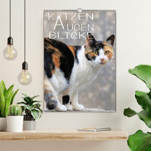 Produktbild: KATZEN AUGEN BLICKE (Wandkalender 2026 DIN A2 hoch), CALVENDO Monatskalender