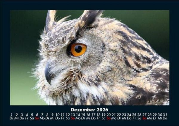 Produktbild: Der Tierkalender 2026 Fotokalender DIN A5