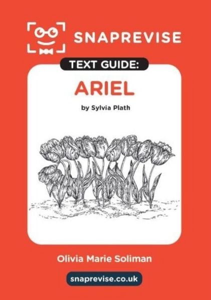 Produktbild: SnapRevise Ariel Text Guide for English Literature