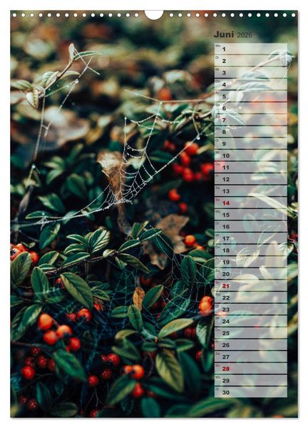 Produktbild: Kalender - Natur im Detail (Wandkalender 2026 DIN A3 hoch), CALVENDO Monatskalender
