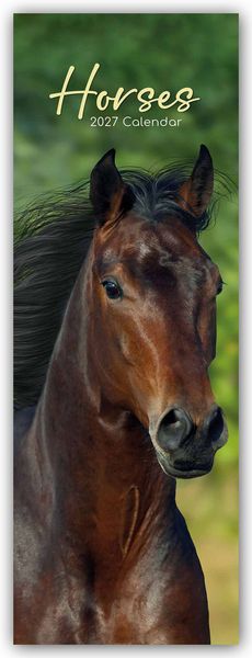 Produktbild: Horses &ndash; Pferde &ndash; Slimline-Kalender 2027
