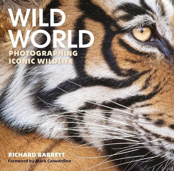 Produktbild: Wild World