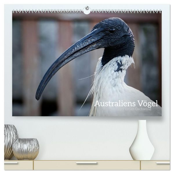 Produktbild: Australiens V&ouml;gel (hochwertiger Premium Wandkalender 2026 DIN A2 quer), Kunstdruck in Hochglanz
