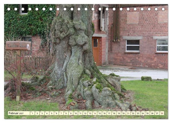 Produktbild: Zauberhaftes, die Natur als K&uuml;nstler (Tischkalender 2027 DIN A5 quer), CALVENDO Monatskalender
